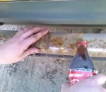 decapant Décaper un pare-chocs rouillé avec du Coca-Cola