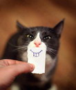 dessin papier Un chat sourit