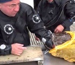 dent En Russie, les poissons attrapent les pêcheurs