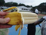 banane Triple Banane