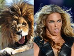 grimace Beyoncé vs Lion