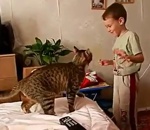 enfant chat Attendre le moment opportun pour attaquer