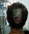 tatouage Tatouage gorille sur la tête