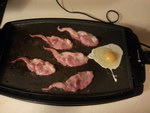 bacon Spermatozoïde bacon vs Ovule Oeuf
