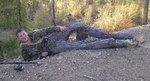 tronc arbre Jambes de bois