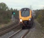 train collision pigeon Pigeon vs Train