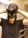 chat tete Se tranformer en Batman grâce à son chat