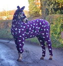 cheval Cheval en pyjama