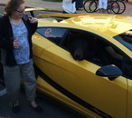 voiture Un ours dans une Lamborghini