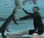 piscine Un homme sort un alligator d'une piscine