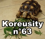 koreusity compilation novembre Koreusity n°63