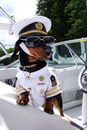 capitaine chien Chien capitaine