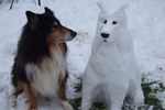 chien neige Chien bonhomme de neige