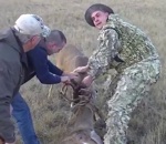sauvetage chasseur Des chasseurs sauvent un cerf des coyotes