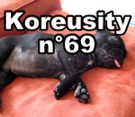 koreusity compilation decembre Koreusity n°69