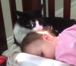 bebe Un chat lave un bébé