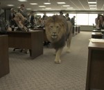 film special Le Loup de Wall Street, les effets spéciaux
