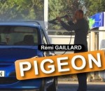 fiente nimportequi Pigeon (Rémi Gaillard)