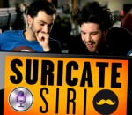 suricate moustache Siri (Suricate)