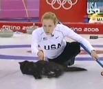 jeu chat Cat Curling