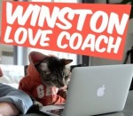 fille Winston love coach : la drague virtuelle