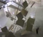 plafond chute Un chat détruit l'Adler Arena à Sotchi