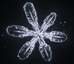 flocon microscope Formation de flocons de neige (Snowtime)