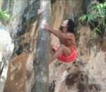thailande grimper Grimper dans un arbre en 12 secondes