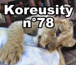 koreusity compilation fevrier Koreusity n°78