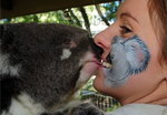 femme visage koala Bisou de koala