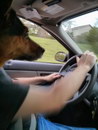 volant Un chien conduit une voiture