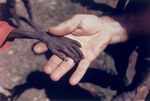 maigre enfant La main d'un garçon ougandais et celle d'un missionnaire.