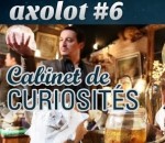 objet Cabinet de curiosités (Axolot)