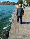 promenade chien Promener son chien dans l'eau