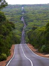 route Route sur l'île Kangourou