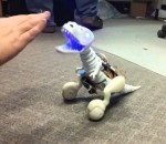 jouet bebe robot Robot bébé dinosaure