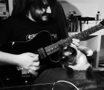 guitare Jouer de la guitare avec son chat