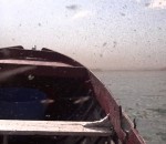 moucheron Nuée de moucherons sur un lac