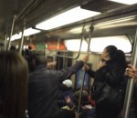 metro wagon Un rat sème la panique dans le métro