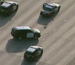 police voiture autoroute Des policiers à la poursuite d'un chien sur une autoroute 