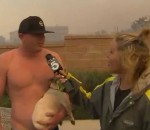 feu incendie chien Un homme torse nu drague une journaliste en direct