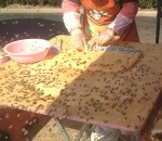 gateau Mochi aux abeilles