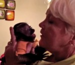 bebe singe Les retrouvailles d'un bébé singe et d'une femme