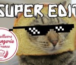 faceplant boulangerie Faceplant d'un chat sur M6 (SUPER EDIT)