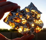 tranche meteorite Tranche de météorite pallasite