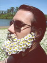 fleur homme Barbe pâquerette