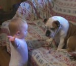 canape chien Un bébé dispute un chien