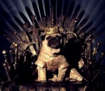 parodie thrones Les carlins de Westeros