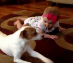bebe Un chien apprend à ramper à un bébé