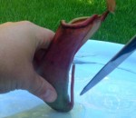 nepenthes Dissection d'une plante carnivore